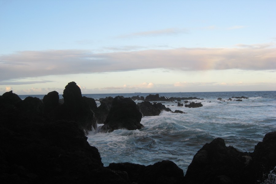 ../image/laupahoehoe point 5.jpg